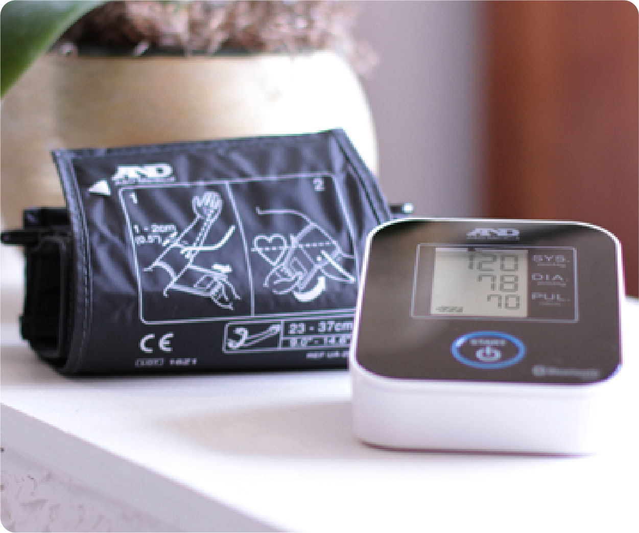 Able Blood Pressure Monitor – Able Healthcare