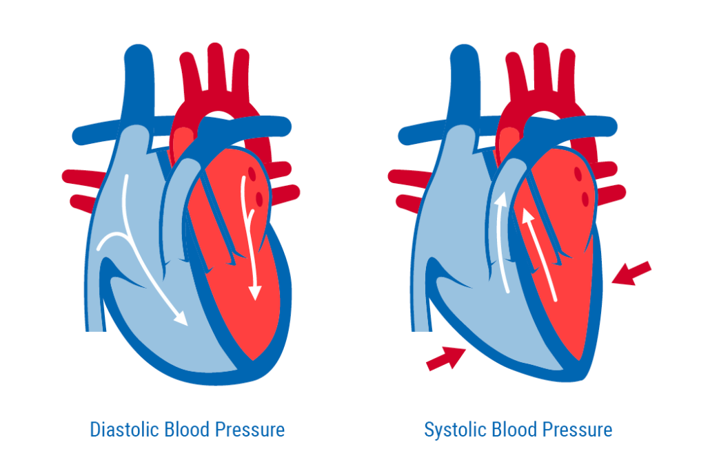 Systolic and store diastolic pressure