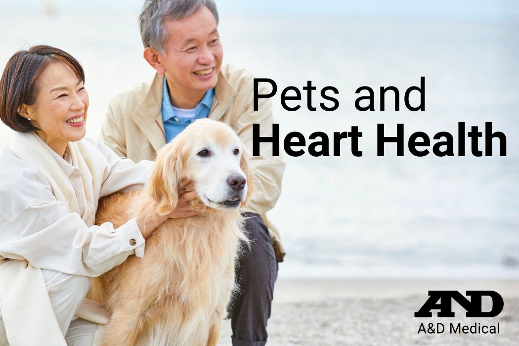 Pets And Heart Health